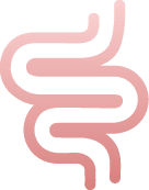 bowel icon