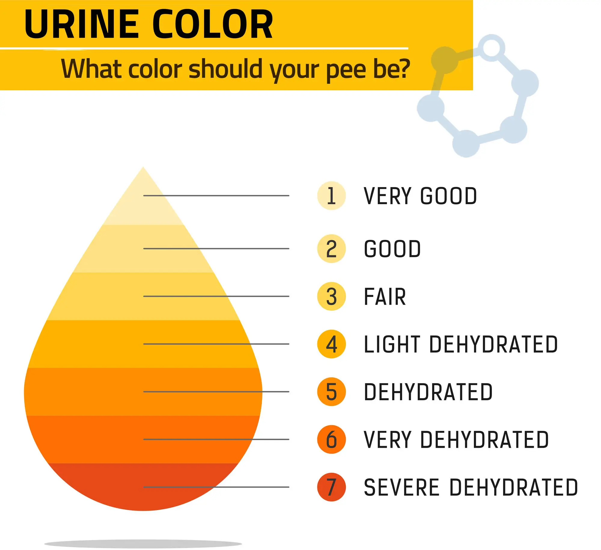 Urine-Color Urine color chart